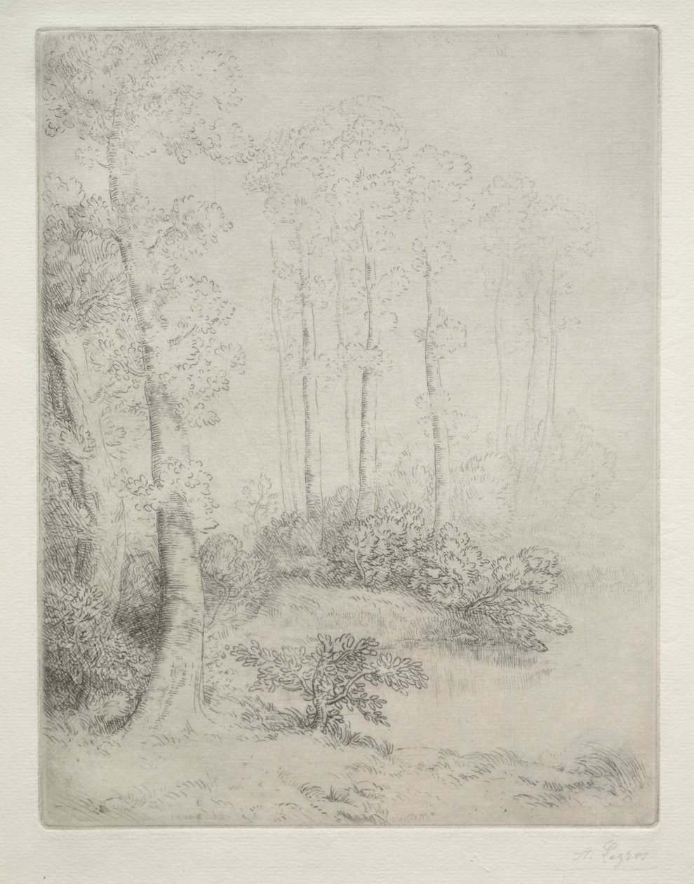 Veden reuna tekijältä Alphonse Legros