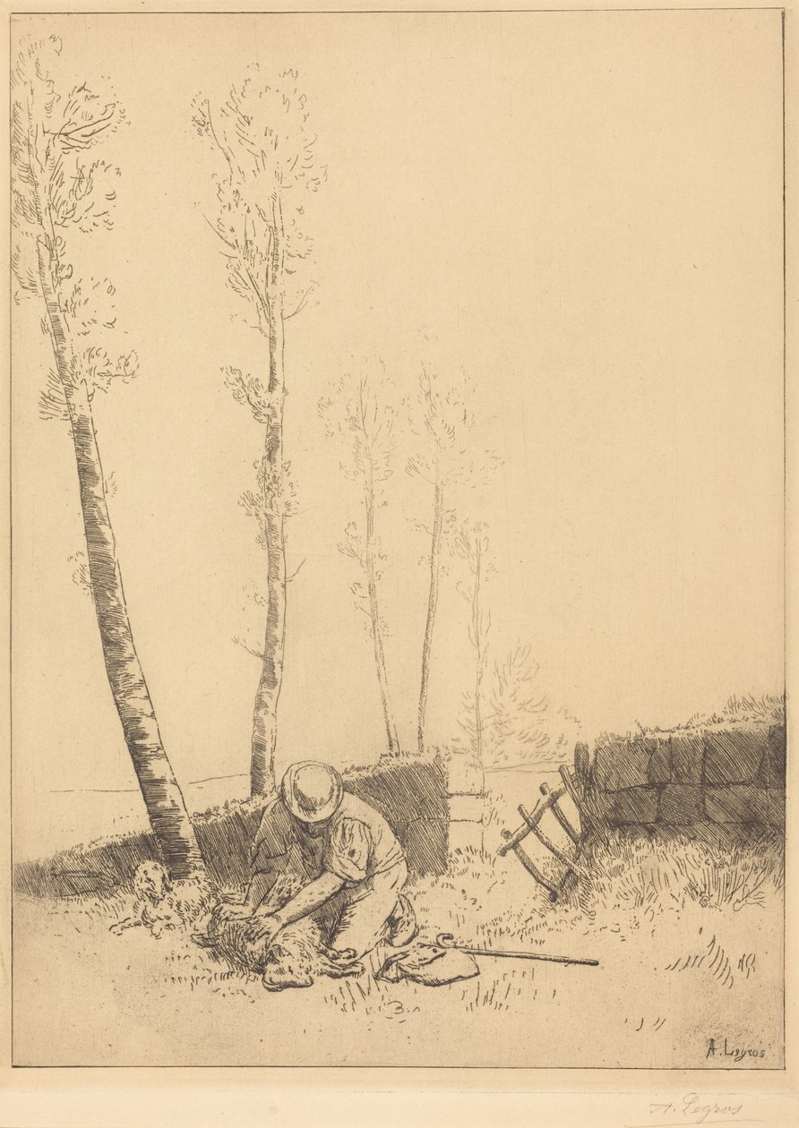 Lampaan löytäminen tekijältä Alphonse Legros