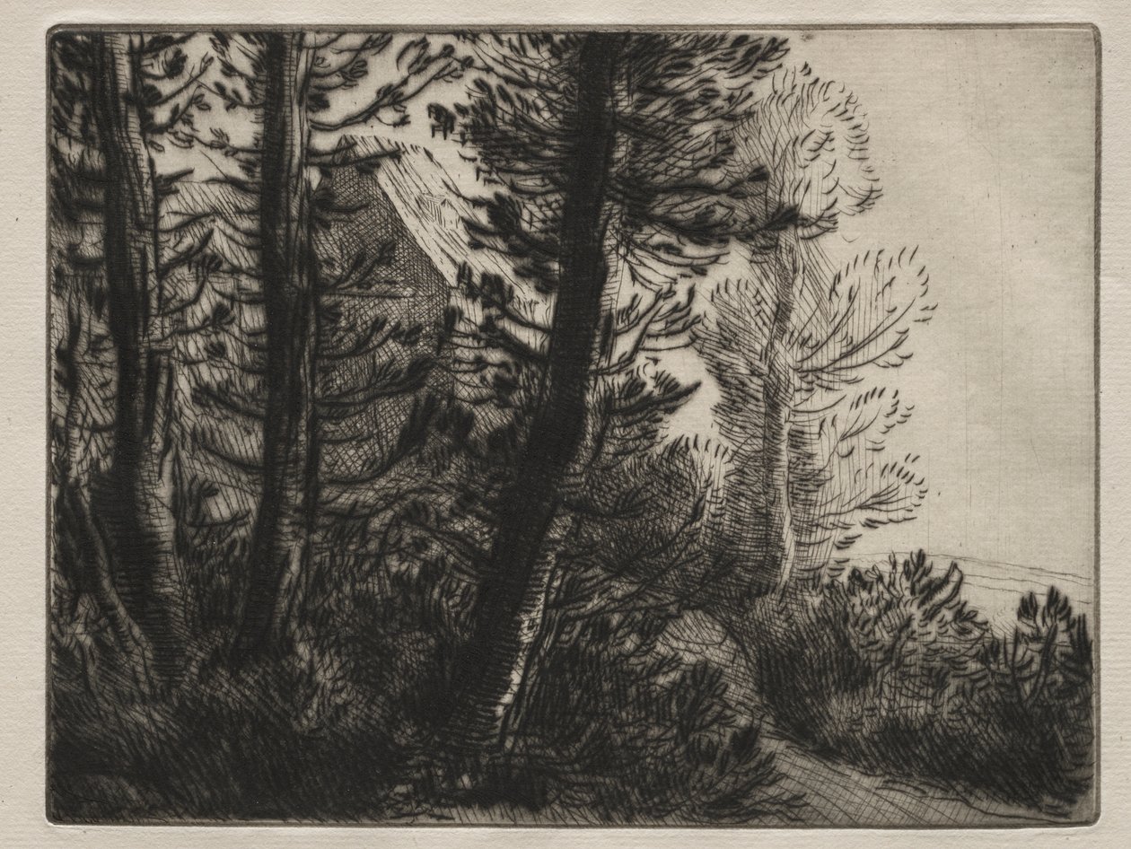 Vartijan talo tekijältä Alphonse Legros
