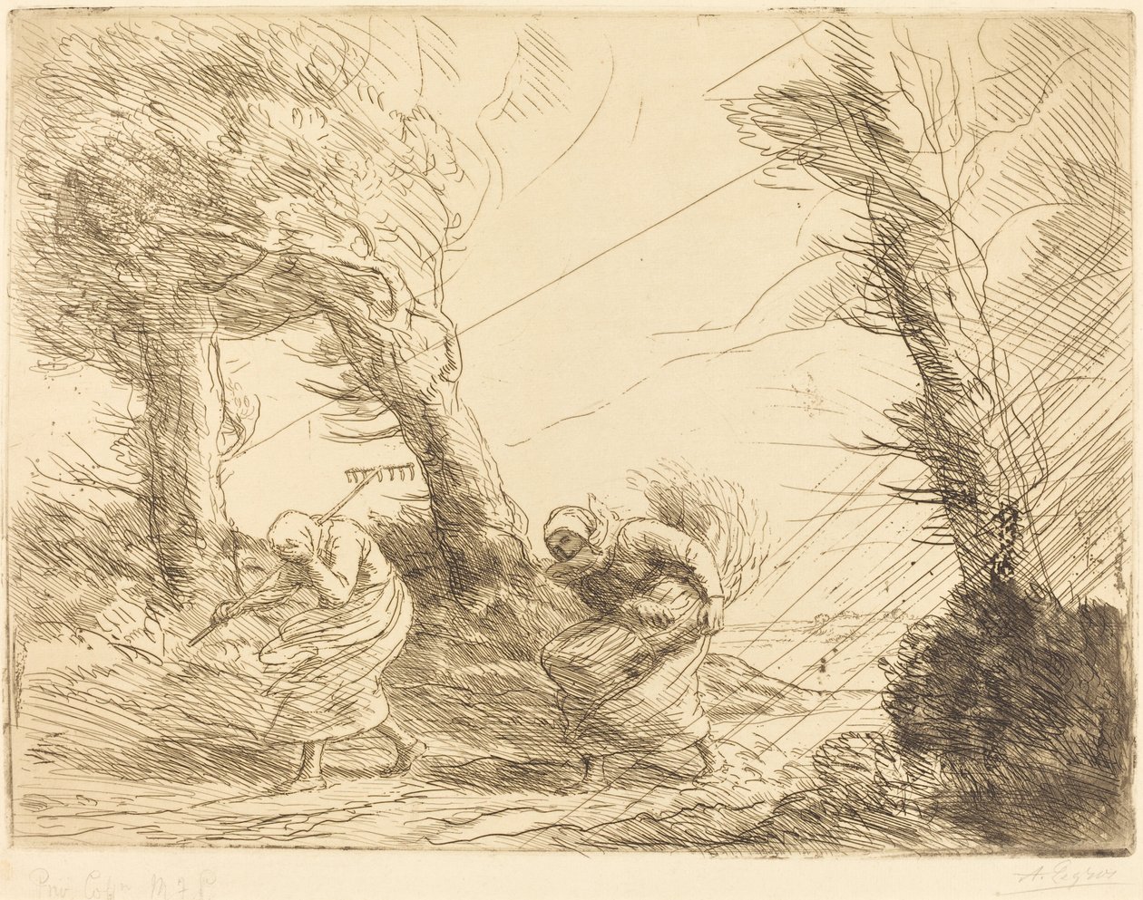Myrskyn yllätyksiä hakkuukoneet Harvesterit yllättyivät myrskystä. tekijältä Alphonse Legros