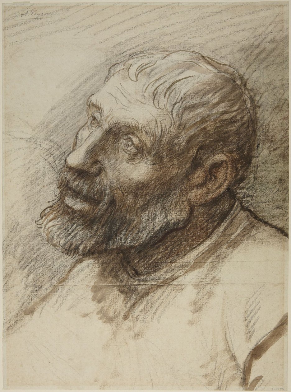 Parrakkaan miehen pää tekijältä Alphonse Legros