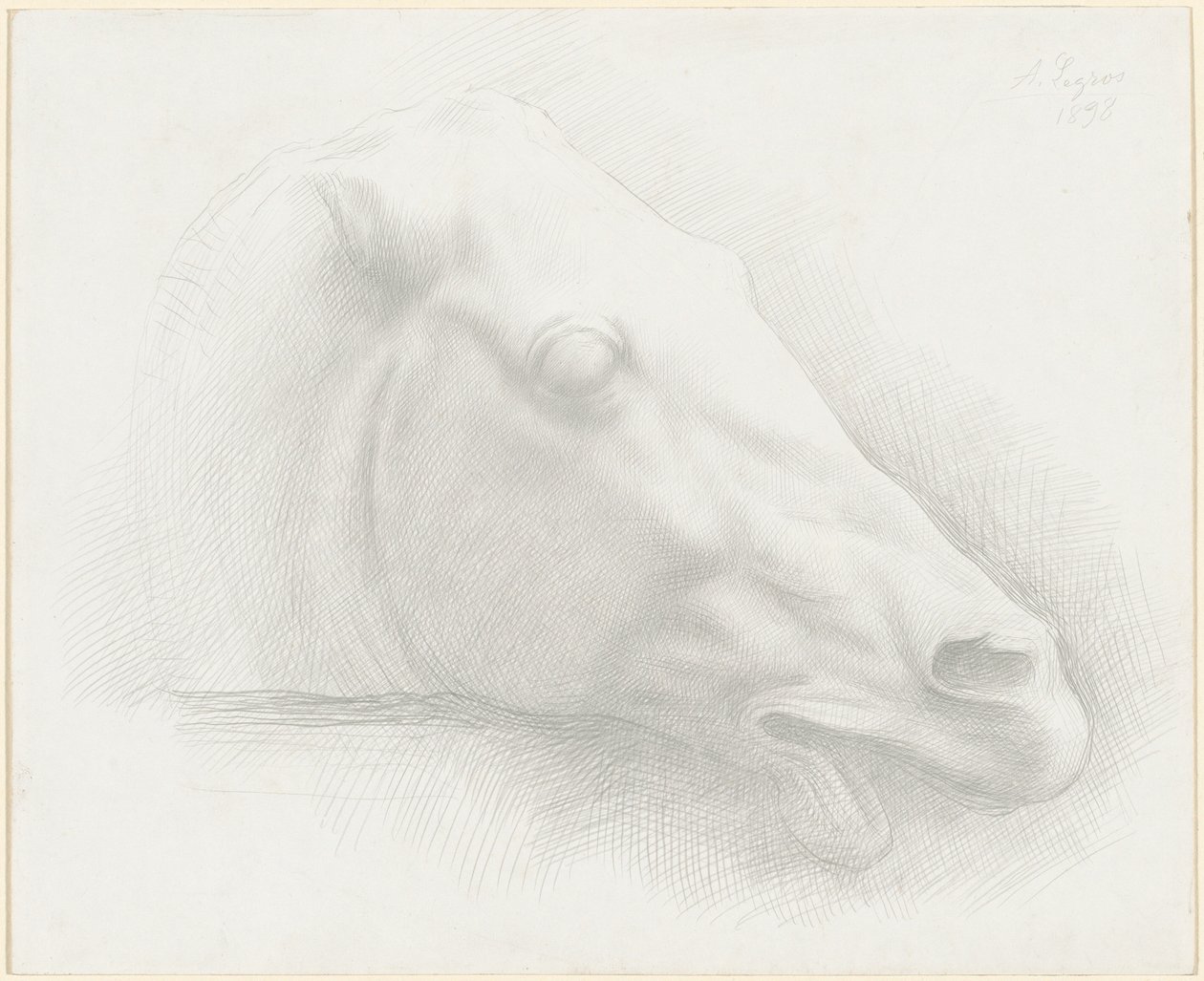 Hevosen pää Parthenonista tekijältä Alphonse Legros