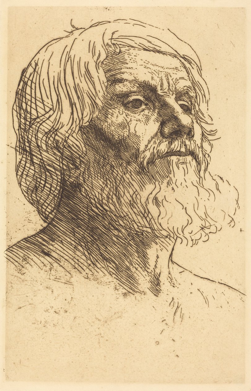 Miehen pää tekijältä Alphonse Legros