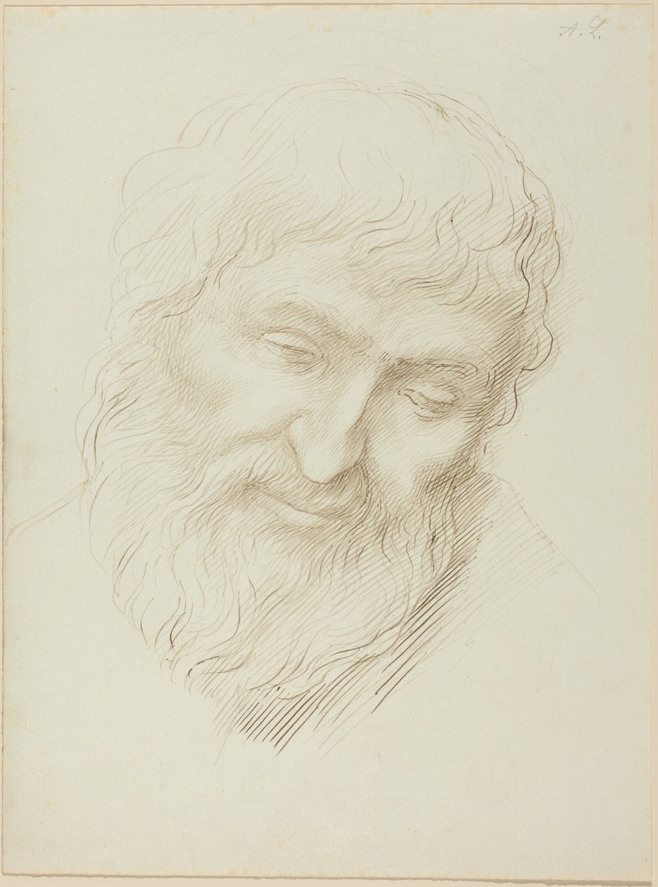 Miehen pää tekijältä Alphonse Legros