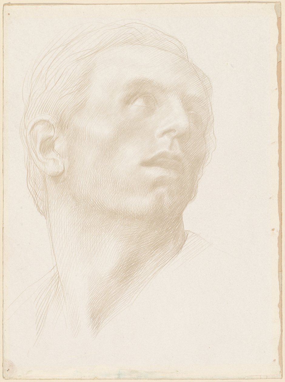 Oikealle katsovan miehen pää tekijältä Alphonse Legros