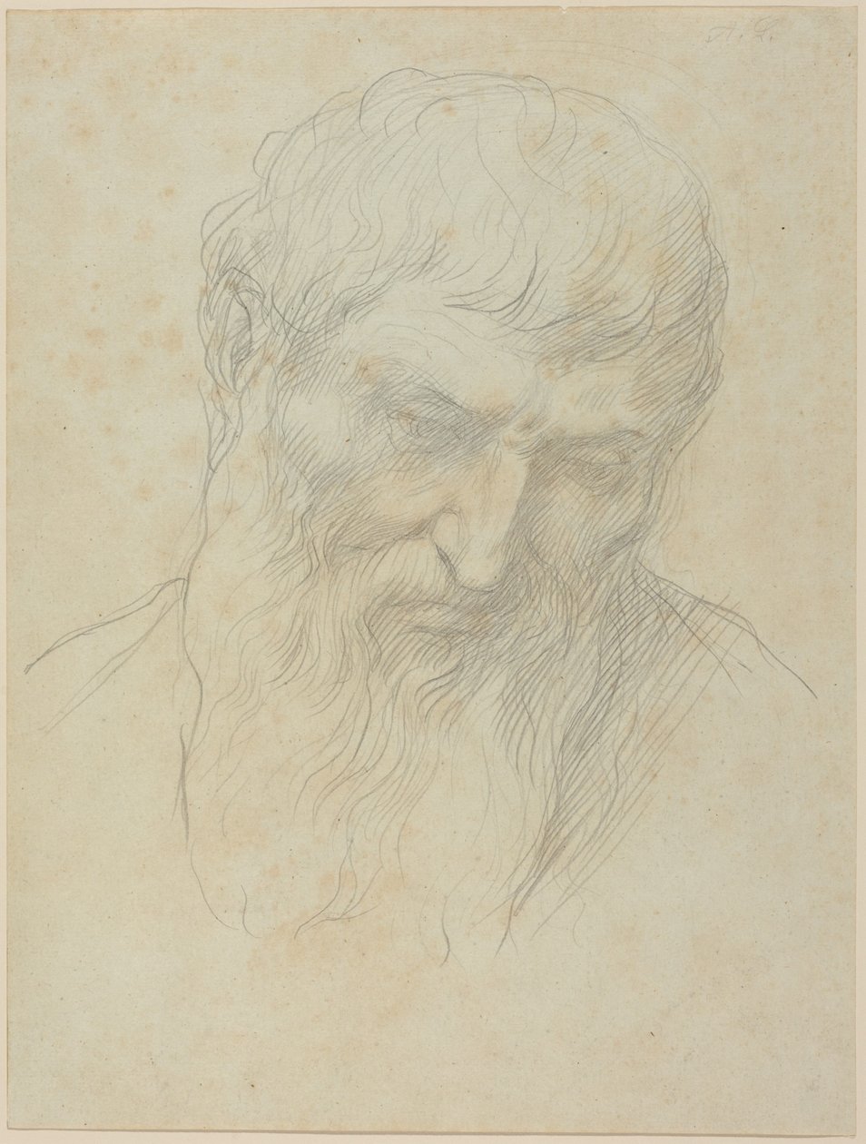 Kiharahiuksisen ja parrakkaan miehen pää tekijältä Alphonse Legros