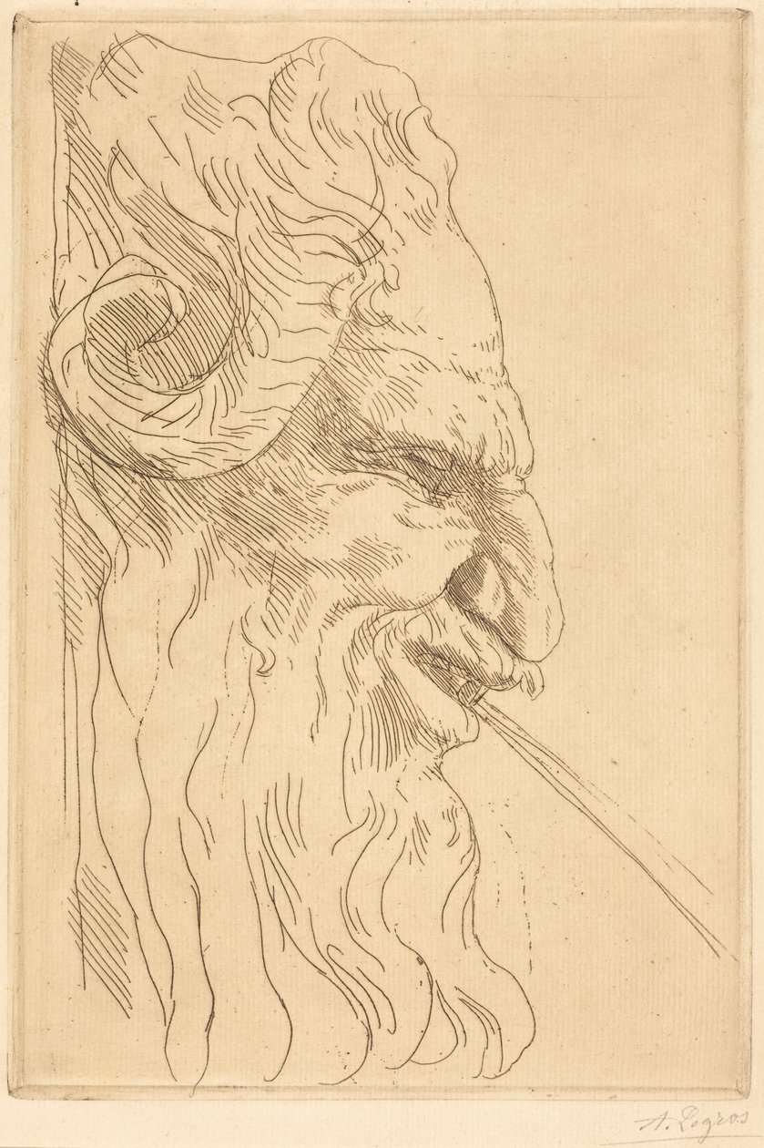 Satyyrin pää tekijältä Alphonse Legros