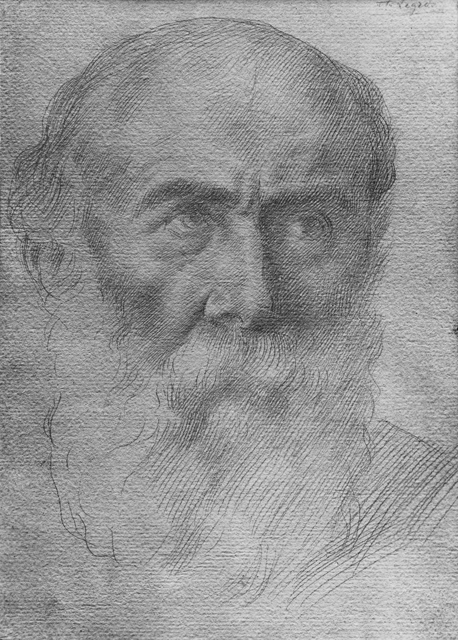 Miehen pää (kultapiste paperilla) tekijältä Alphonse Legros