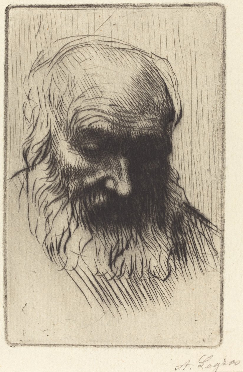 Vanhan miehen pää (Etude de tete) tekijältä Alphonse Legros