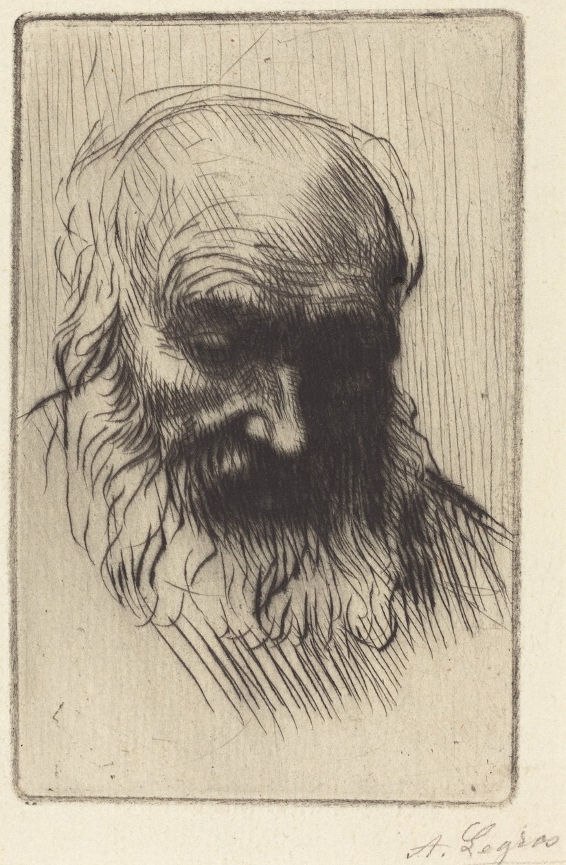 Vanhan miehen pää (Etude de tete) tekijältä Alphonse Legros