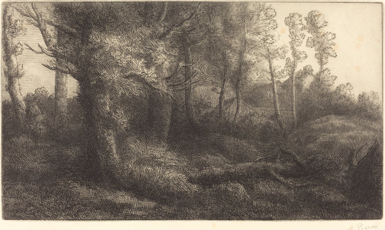 Metsässä (Lisiere de foret) tekijältä Alphonse Legros
