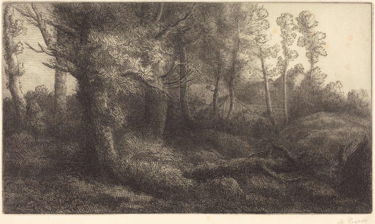 Metsän laidalla (Lisière de forêt) tekijältä Alphonse Legros