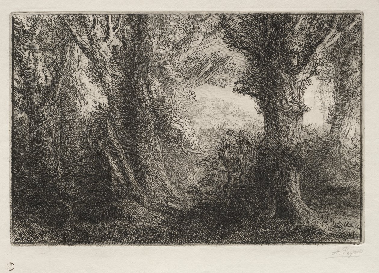 Contevillen metsässä tekijältä Alphonse Legros
