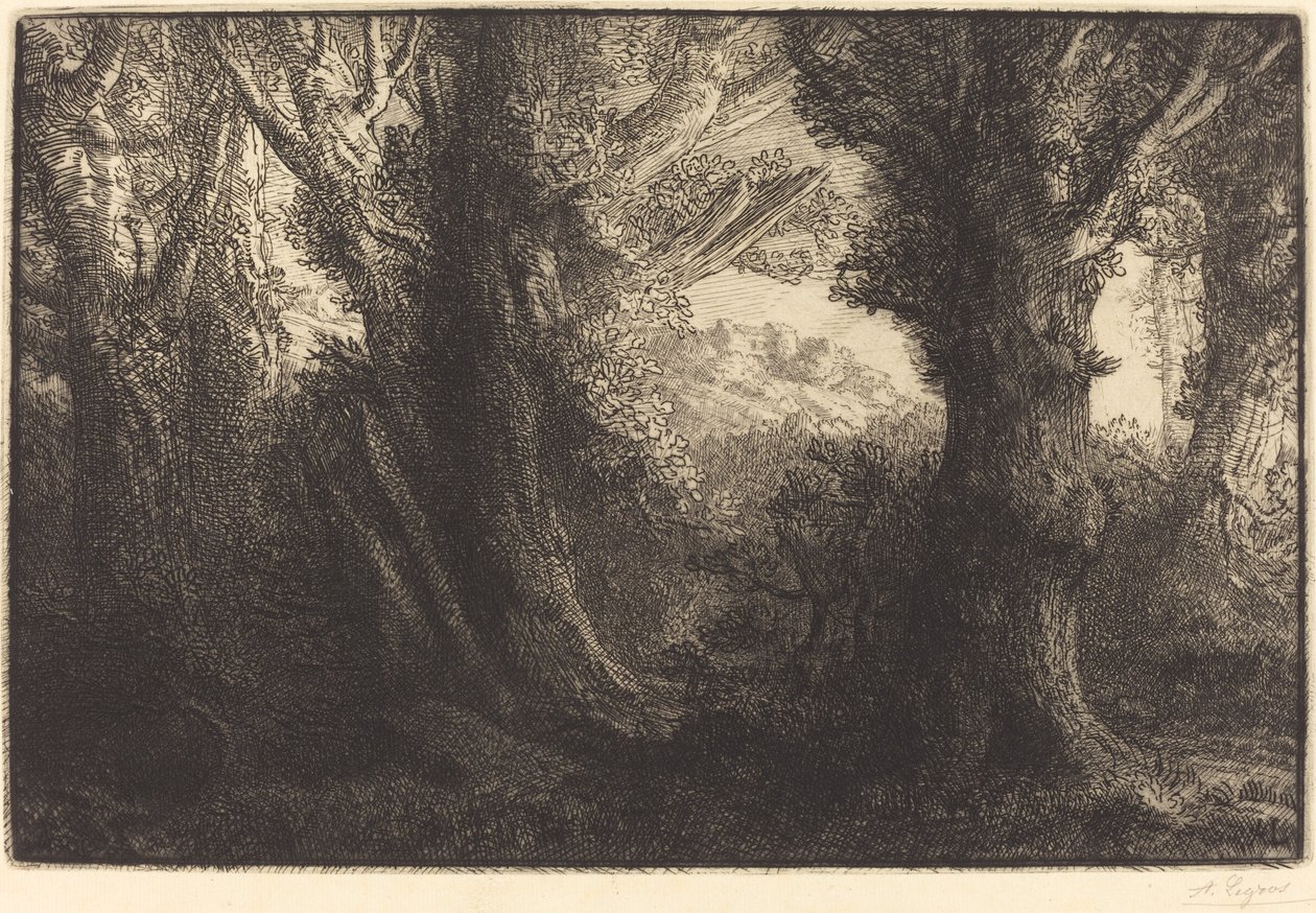 Contevillen metsässä Dans la foret de Conteville. tekijältä Alphonse Legros