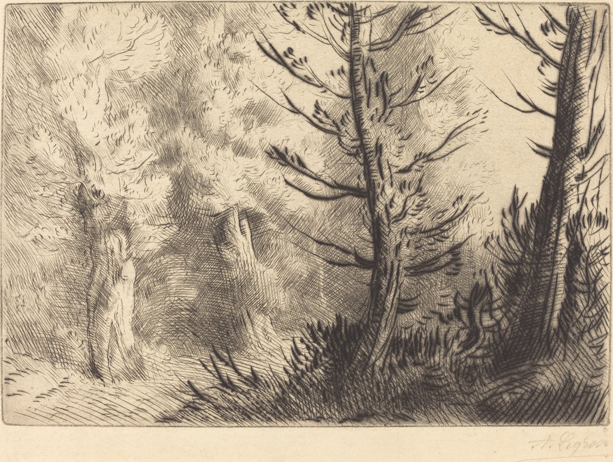 Fontainebleaun metsässä tekijältä Alphonse Legros