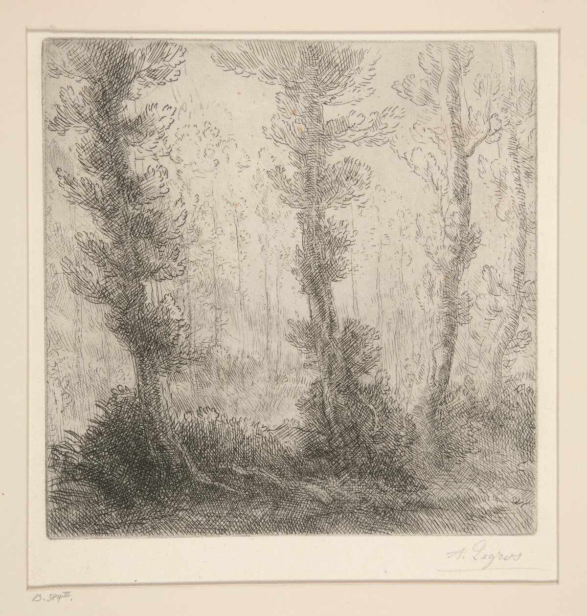 Pikku Järvi tekijältä Alphonse Legros
