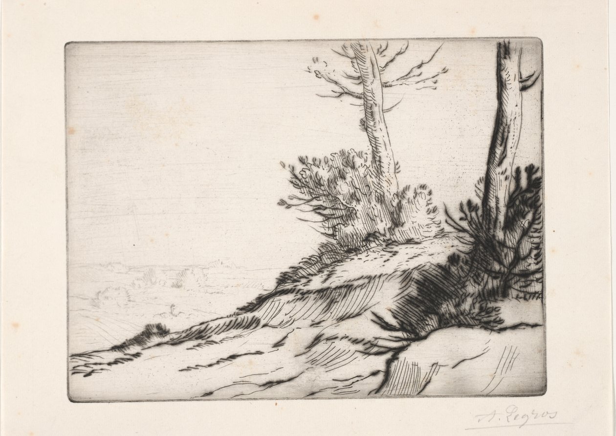 Harjakukkula tekijältä Alphonse Legros
