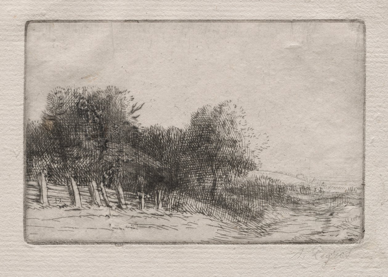 Maisema tekijältä Alphonse Legros