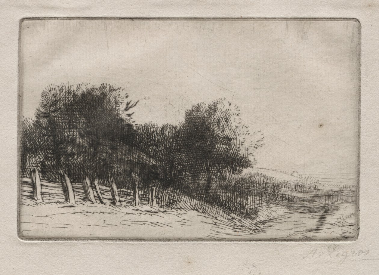 Maisema tekijältä Alphonse Legros