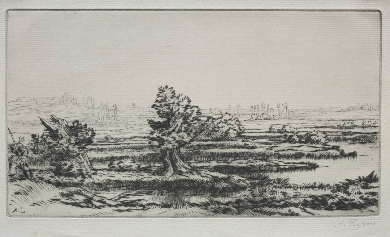 Maisema. tekijältä Alphonse Legros