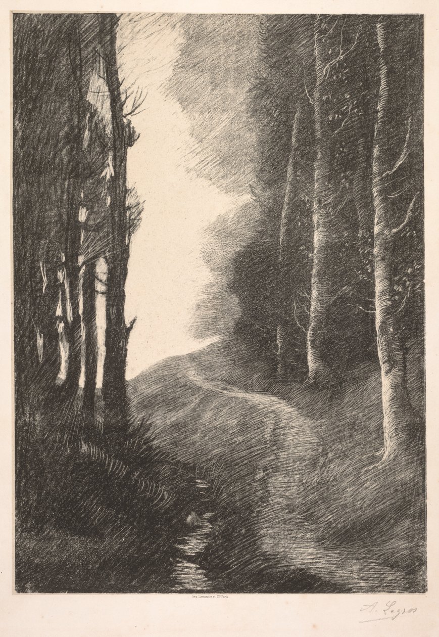 Maisema koivuilla tekijältä Alphonse Legros