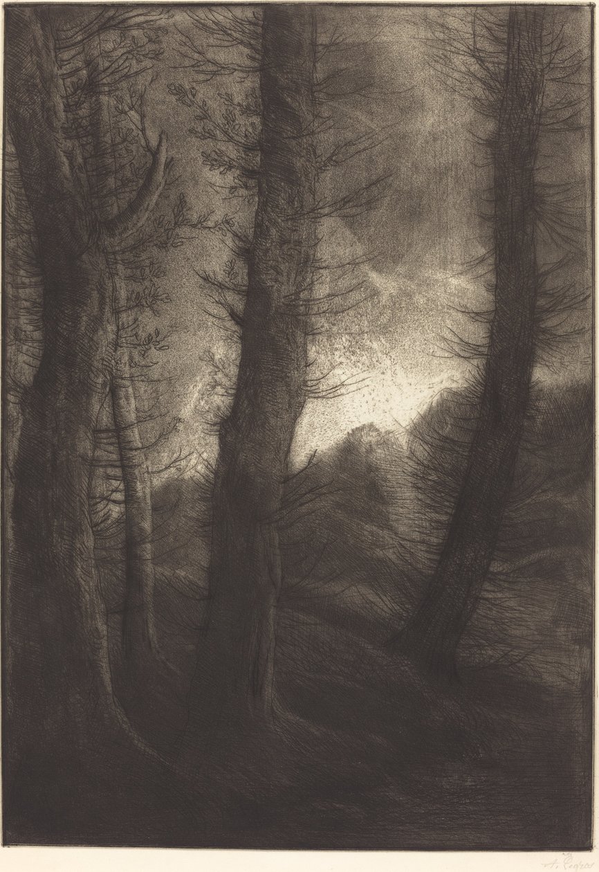 Isot puut aurinkoa vasten tekijältä Alphonse Legros