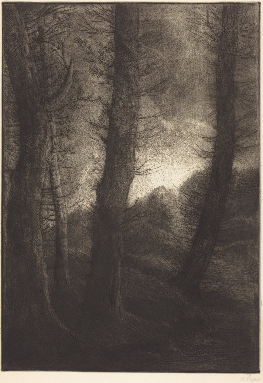 Suuret puut auringon valossa  (Suuret puut: iltavaikutus) tekijältä Alphonse Legros