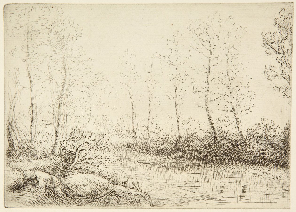 Koivut tekijältä Alphonse Legros