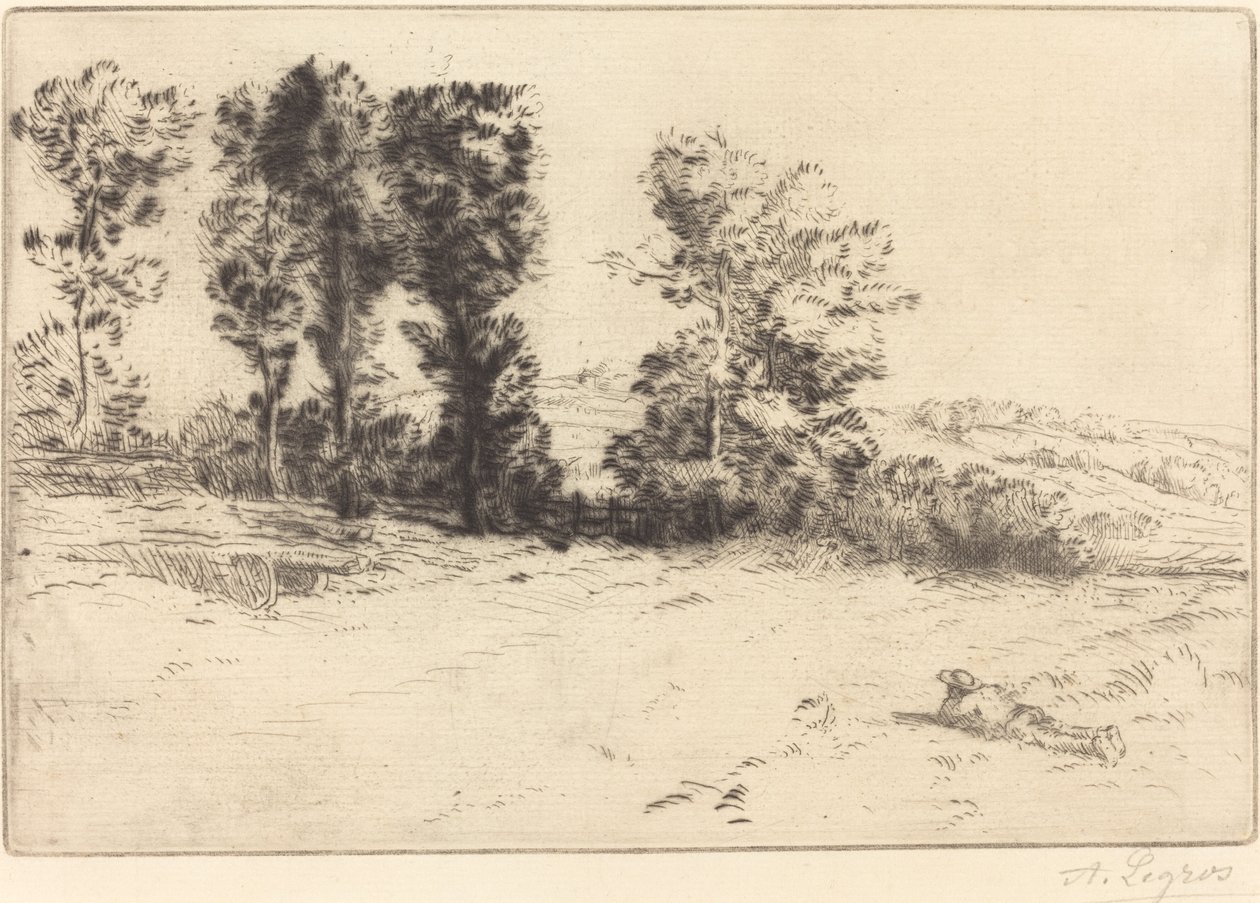 Meadow in Sunshine (Le pre ensoleille) tekijältä Alphonse Legros