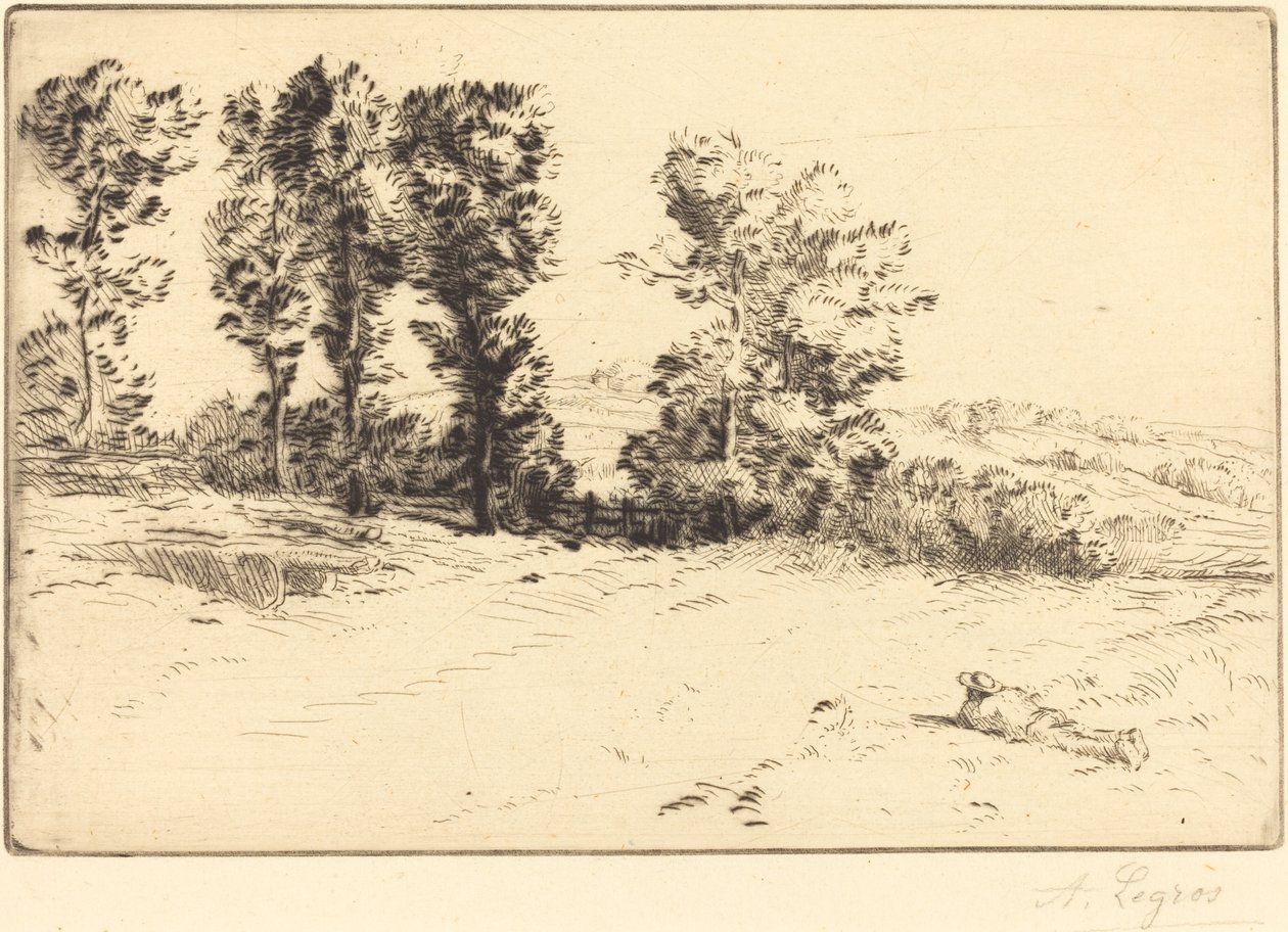 Meadow in Sunshine Le pre ensoleille. tekijältä Alphonse Legros