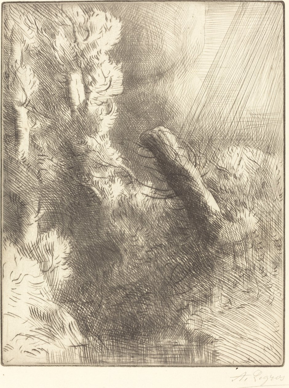 Muistoja Fontainebleausta sateessa tekijältä Alphonse Legros