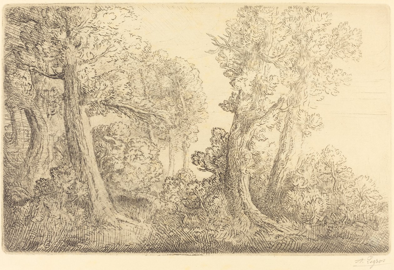 Lähellä metsää, Veronne (Pres du bois, Veronne) tekijältä Alphonse Legros