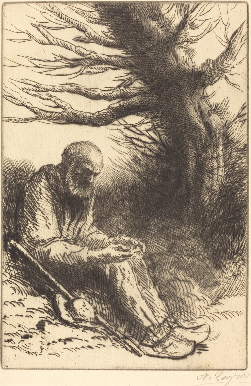 Vanha mies, vanha puu Vanha mies, vanha puu. tekijältä Alphonse Legros