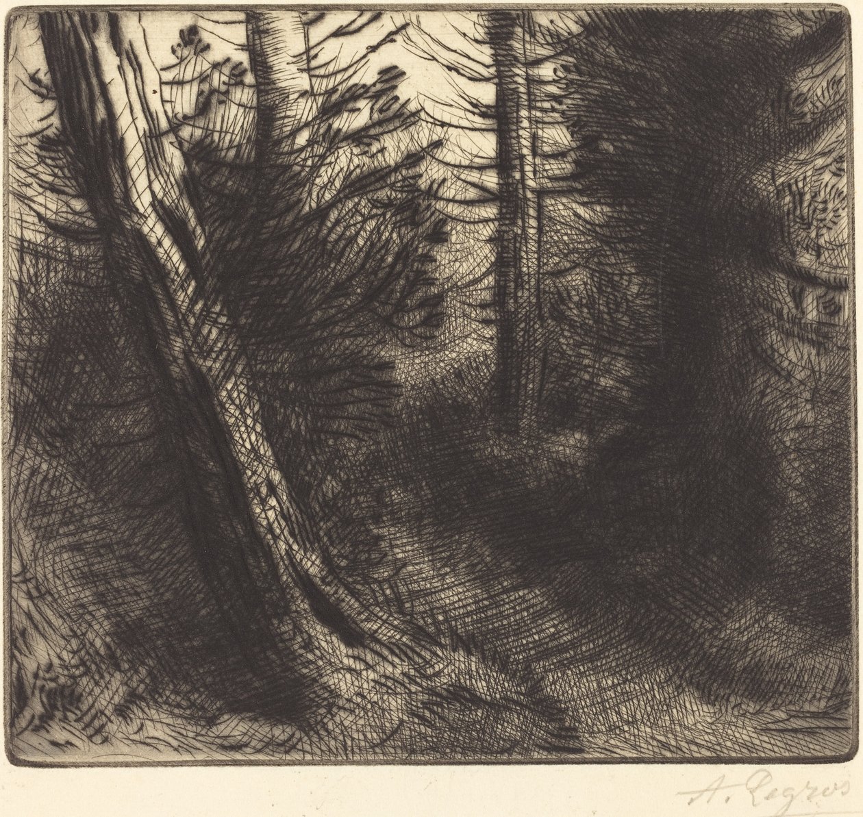Polku metsän läpi tekijältä Alphonse Legros