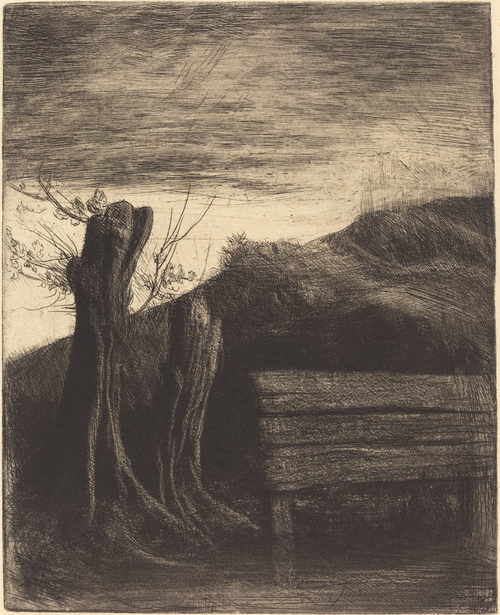 Pollard Willows Les saules tetards. tekijältä Alphonse Legros