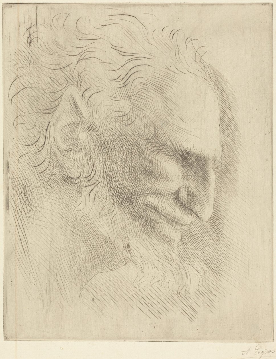 Tutkielma miehen päästä tekijältä Alphonse Legros