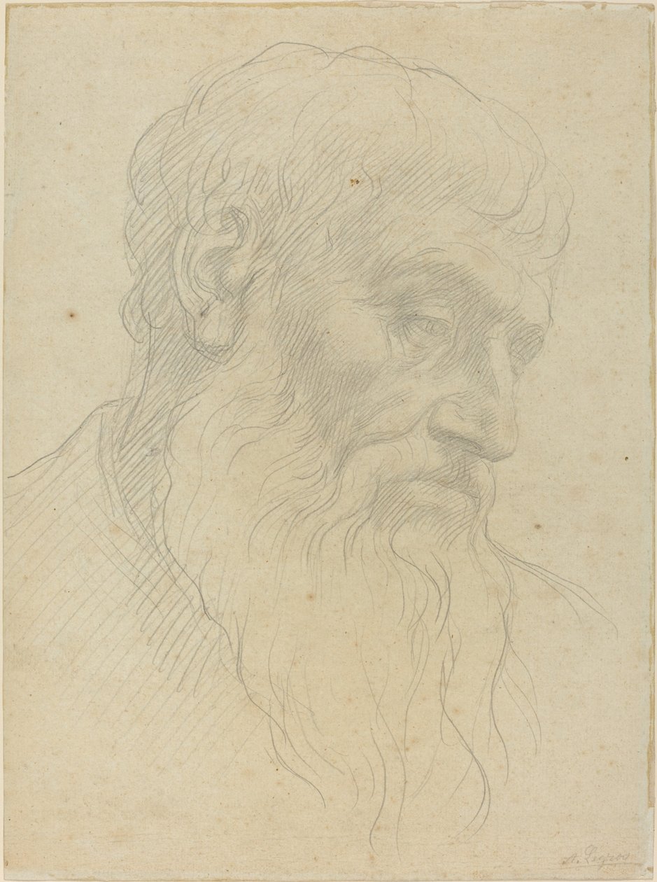Pään tutkimus. tekijältä Alphonse Legros