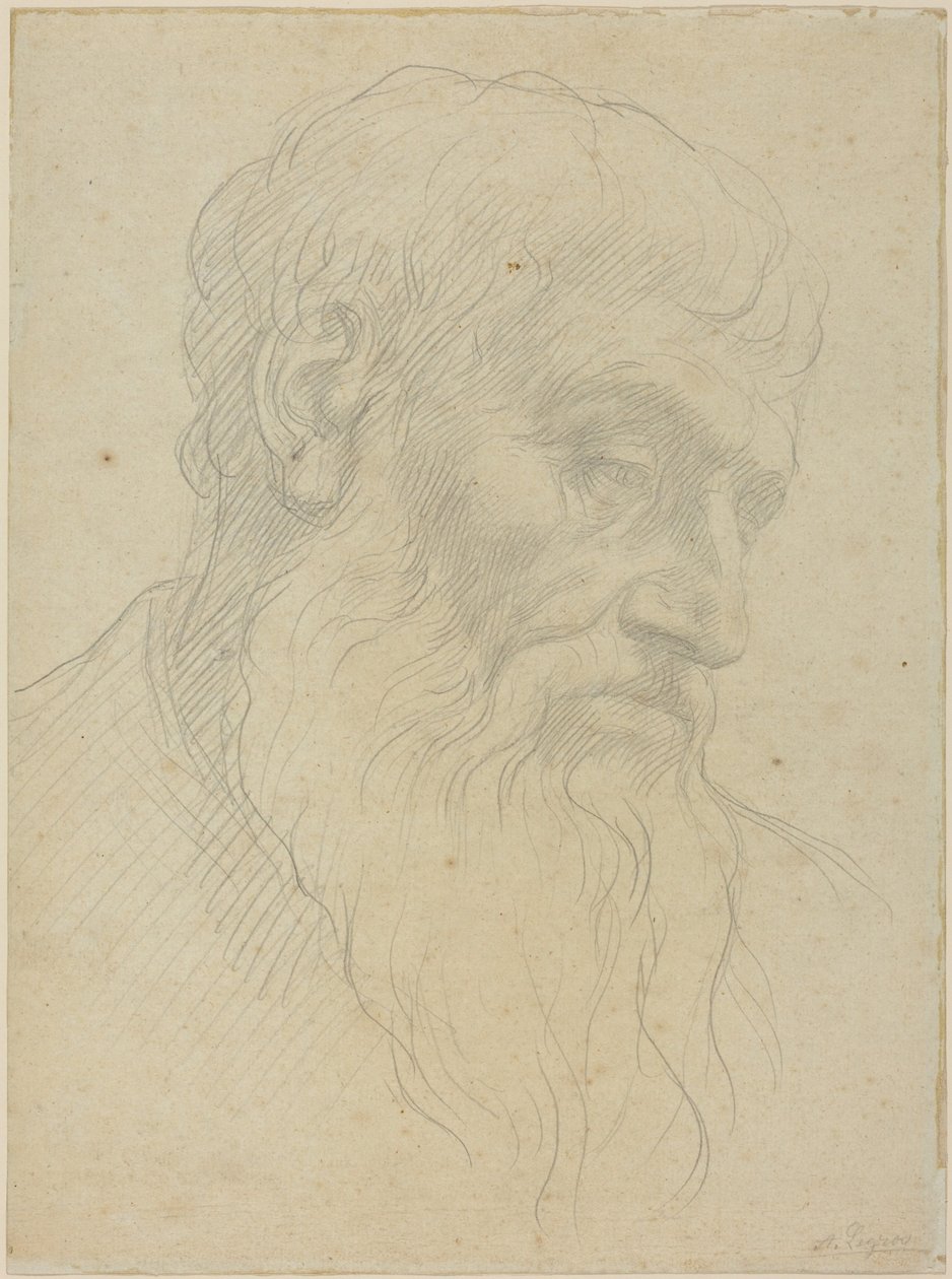 Pään tutkimus tekijältä Alphonse Legros