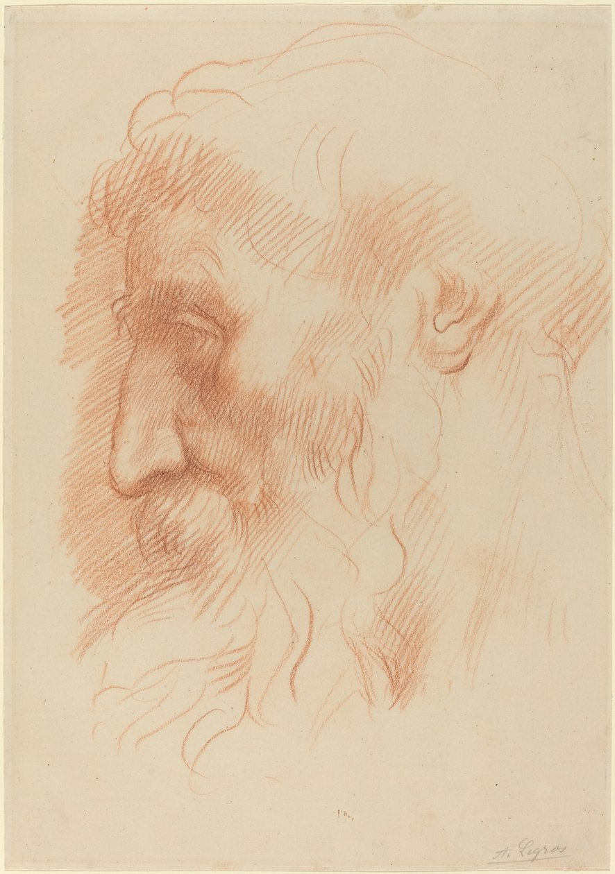 Tutkimus miehen päästä [recto] tekijältä Alphonse Legros