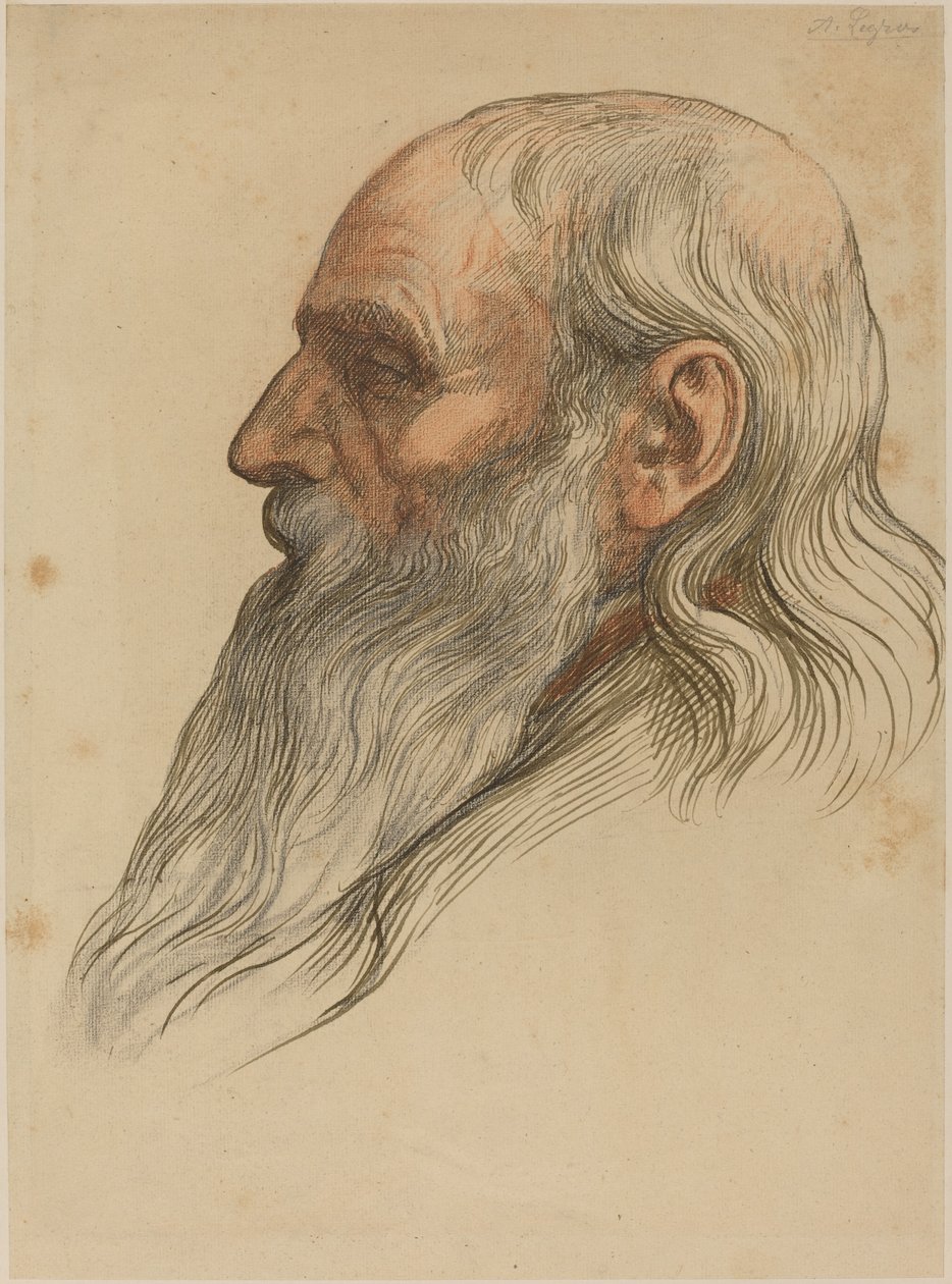 Tutkimus miehen päästä, jolla on täysi parta tekijältä Alphonse Legros