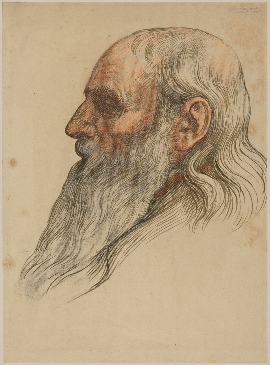 Tutkimus miehen päästä, jolla on täysparta tekijältä Alphonse Legros
