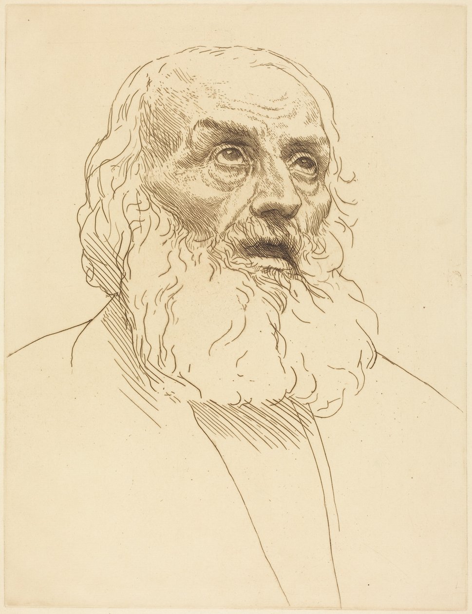 Study of an Old Man (Vanhan miehen luonnos) tekijältä Alphonse Legros