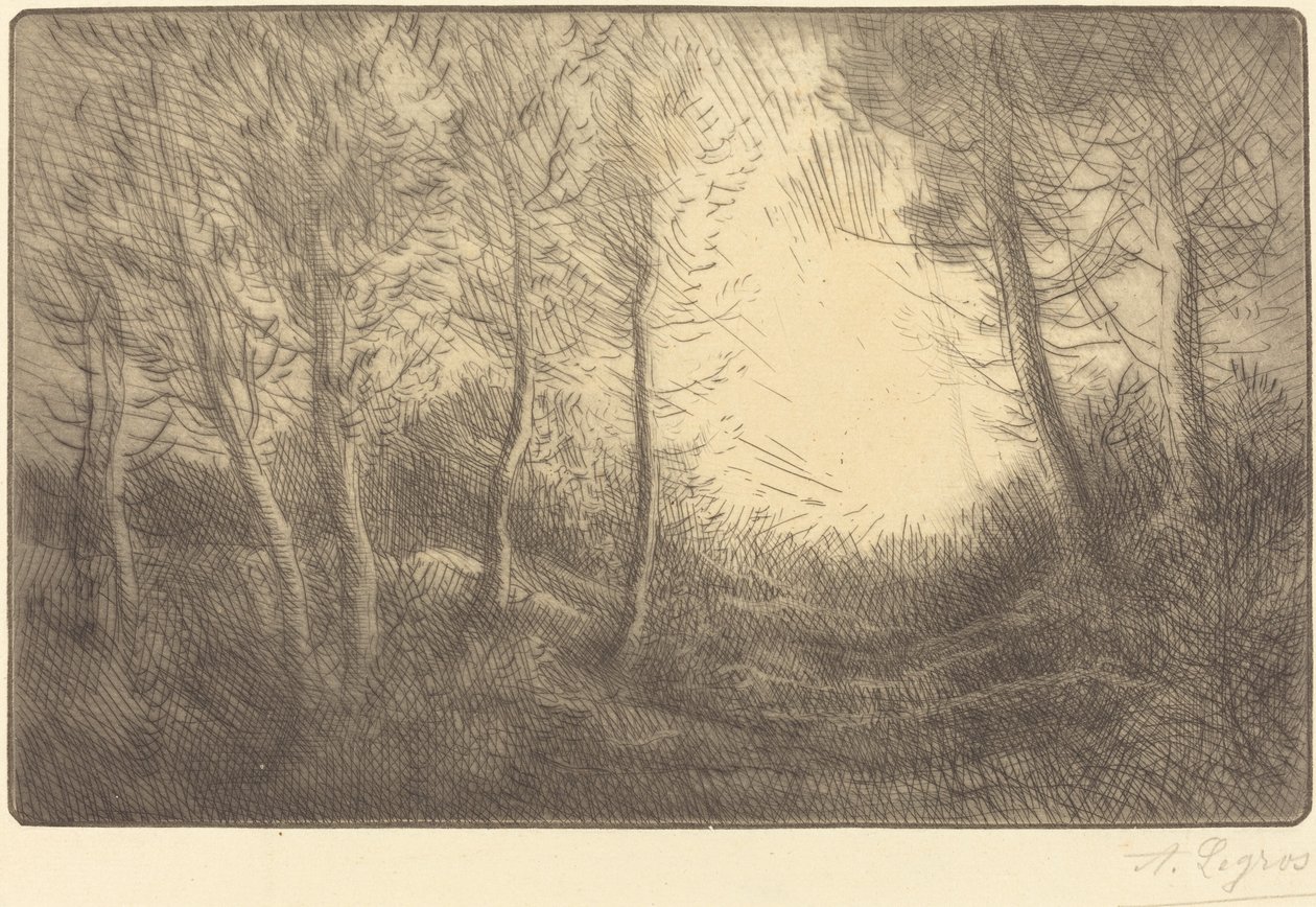 Sunrise, Woods of Clamart Sunrise, Woods of Clamart. finlandès tekijältä Alphonse Legros