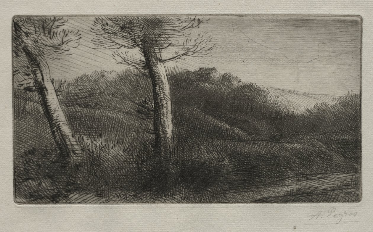 Matkustaja ojentui nurmikolla tekijältä Alphonse Legros