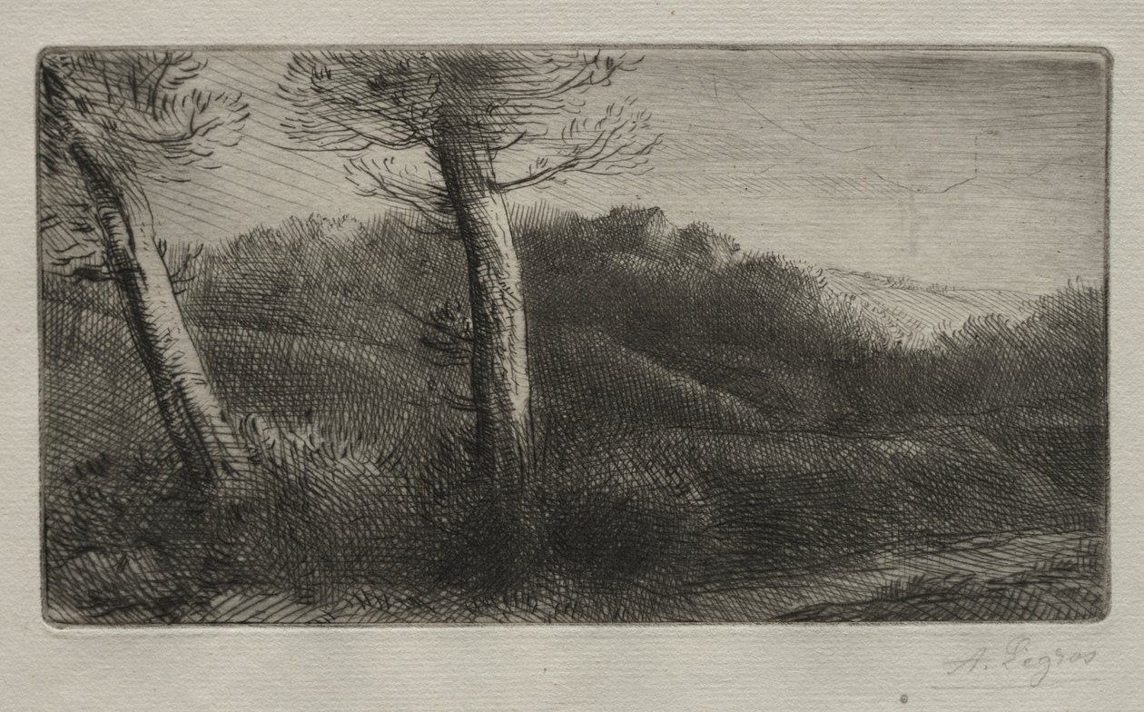 Matkustaja venytettynä ruoholle, n. 1888. tekijältä Alphonse Legros