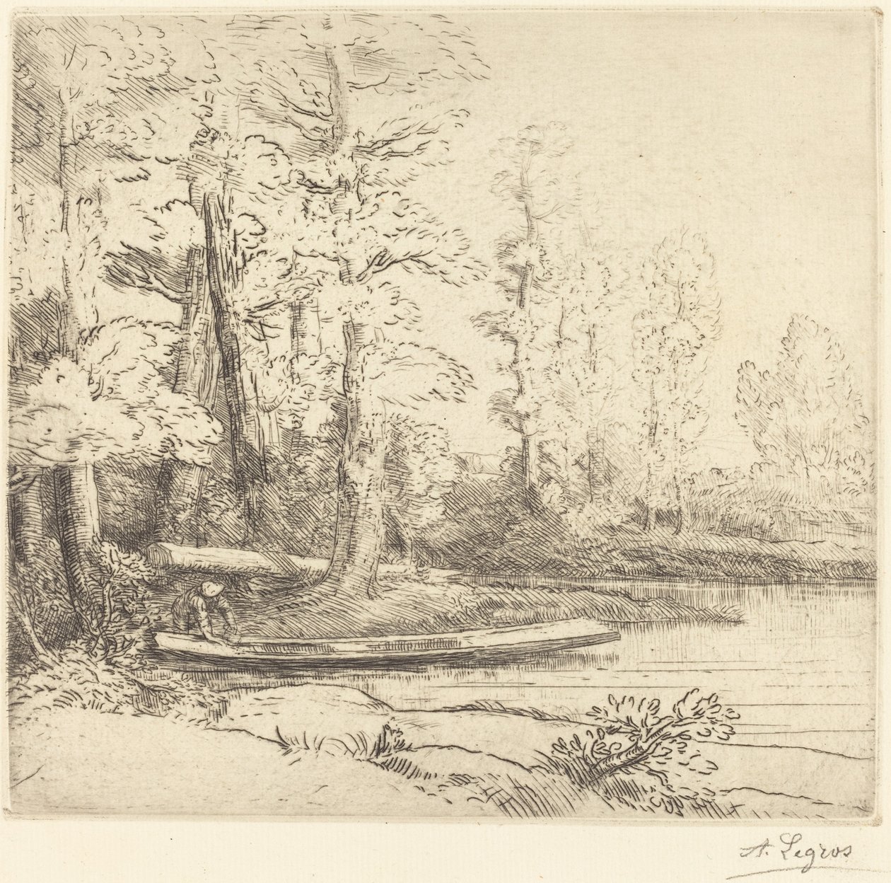 Arbres a la vora de l