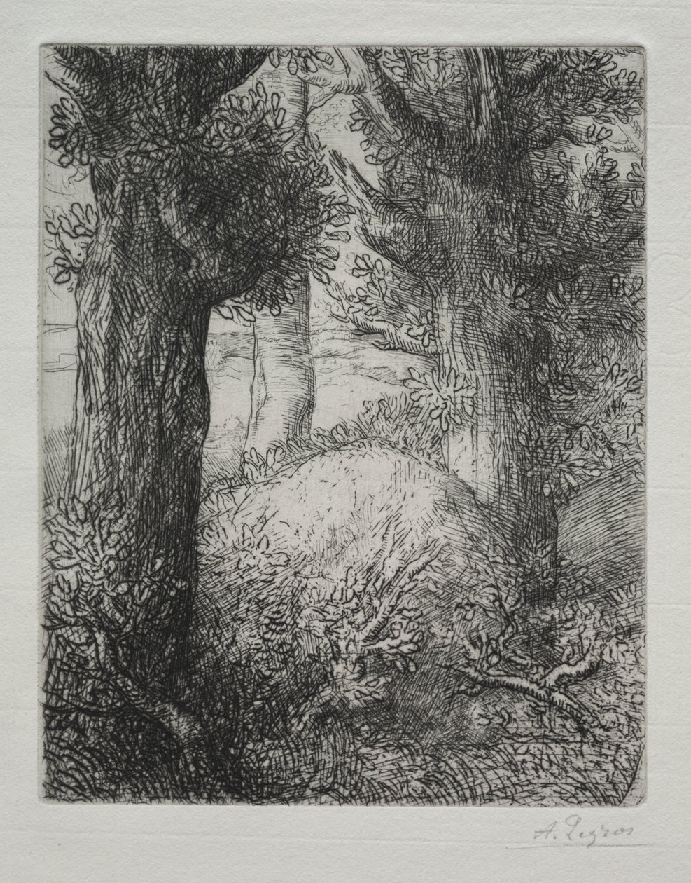 Gallialaiset hautausmaat tekijältä Alphonse Legros