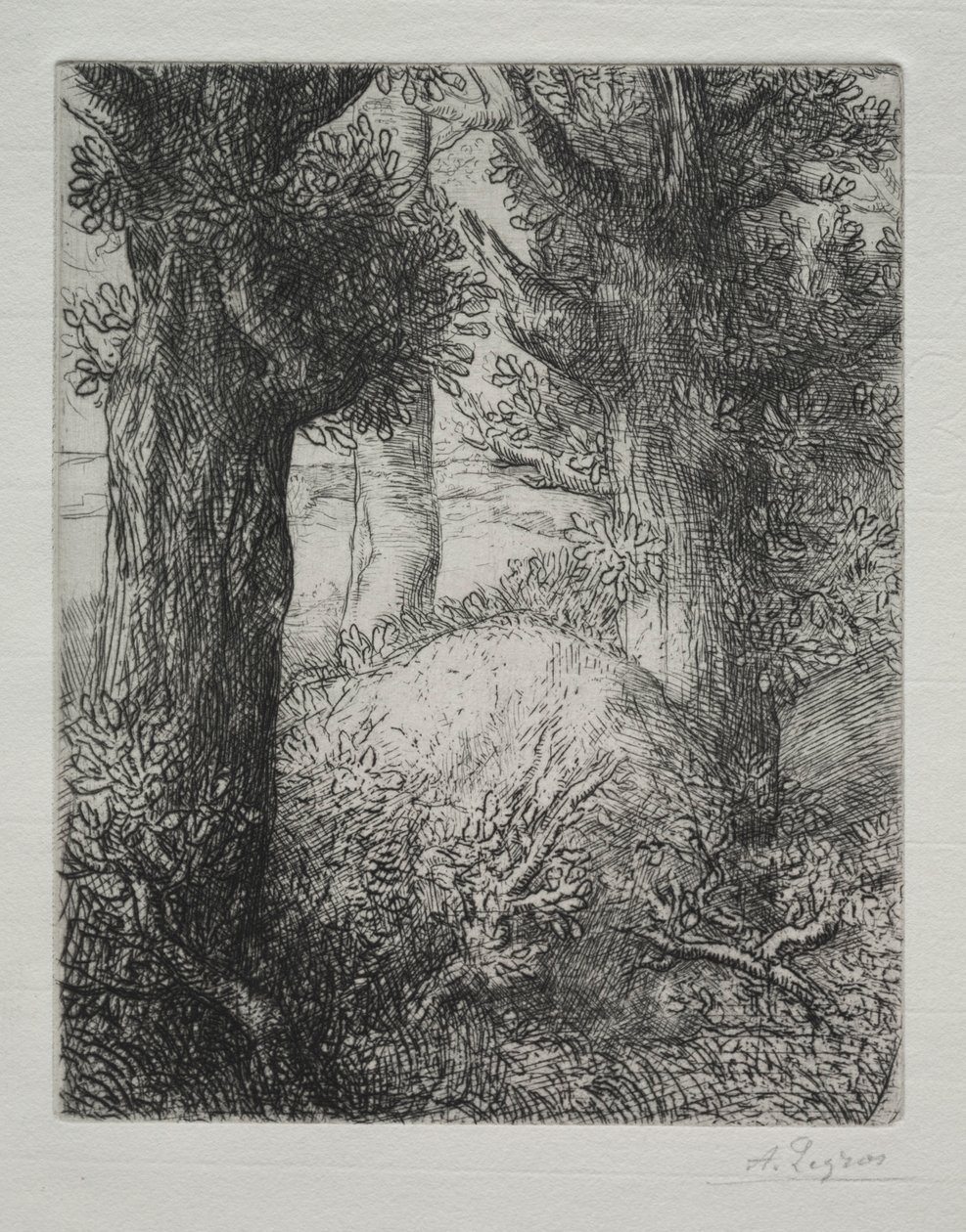 Gallialaiset hautausmaat. tekijältä Alphonse Legros
