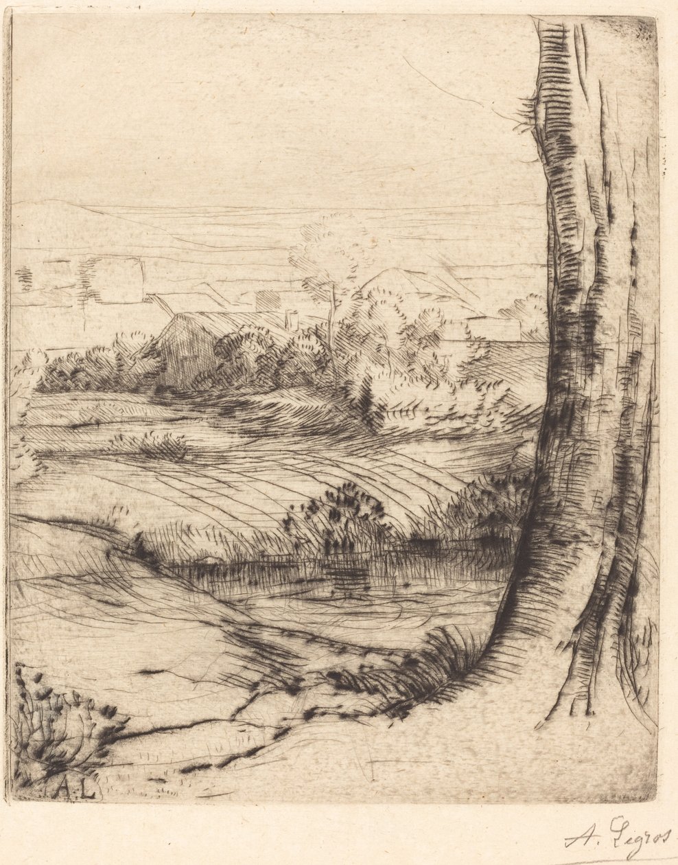 Näkymä ruokoille (Coin de roseau) tekijältä Alphonse Legros