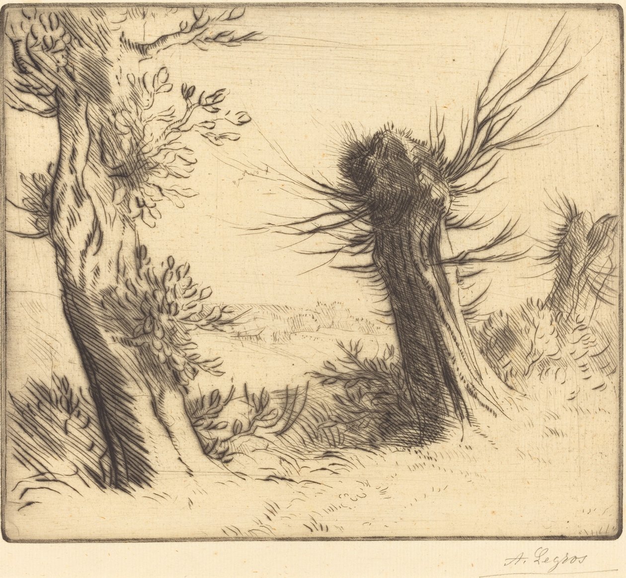 Willows Les saules. tekijältä Alphonse Legros